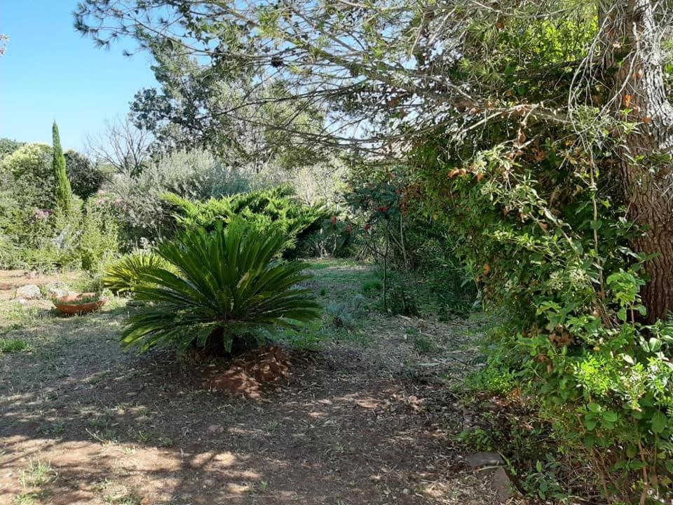 Mas Provencal Au Cannet Des Maures Le Cannet-des-Maures Exterior photo